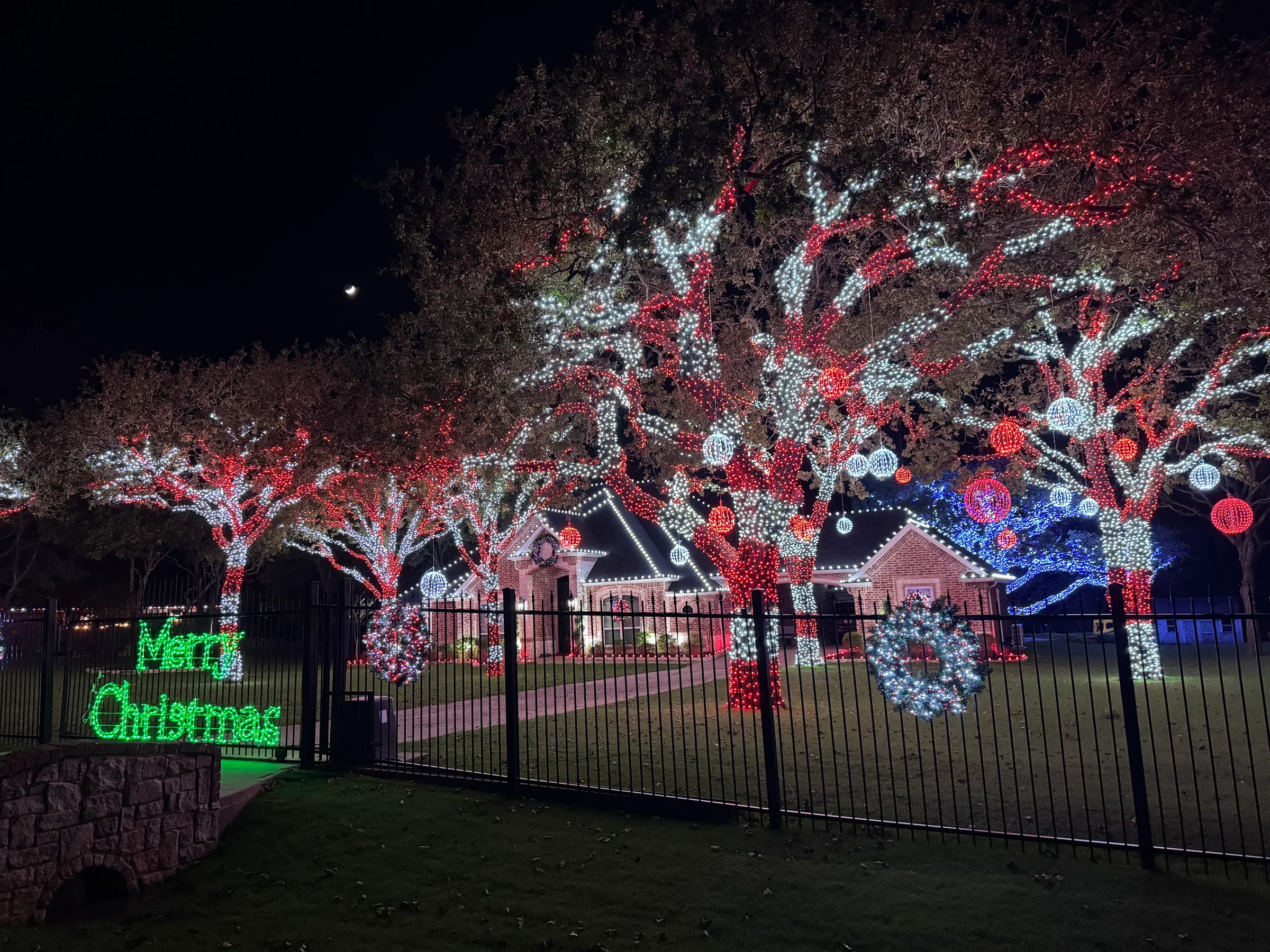 Large trees densely covered in red and white Christmas lights at night