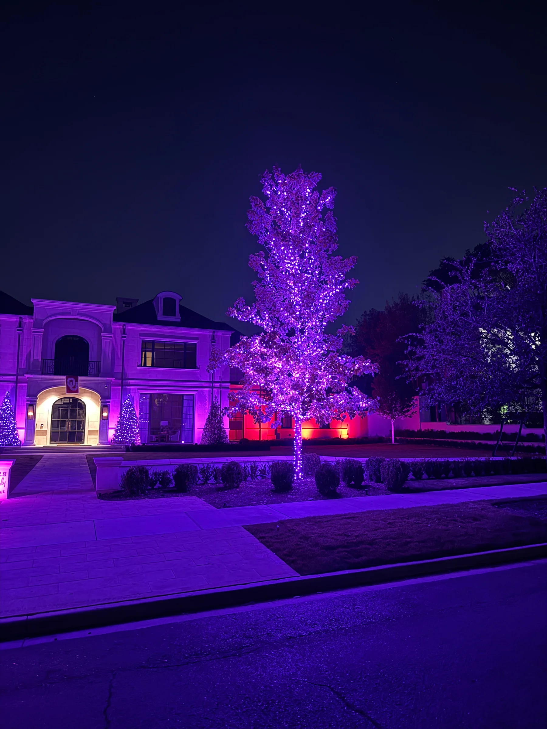 Large home and tall front tree illuminated with purple exterior lighting