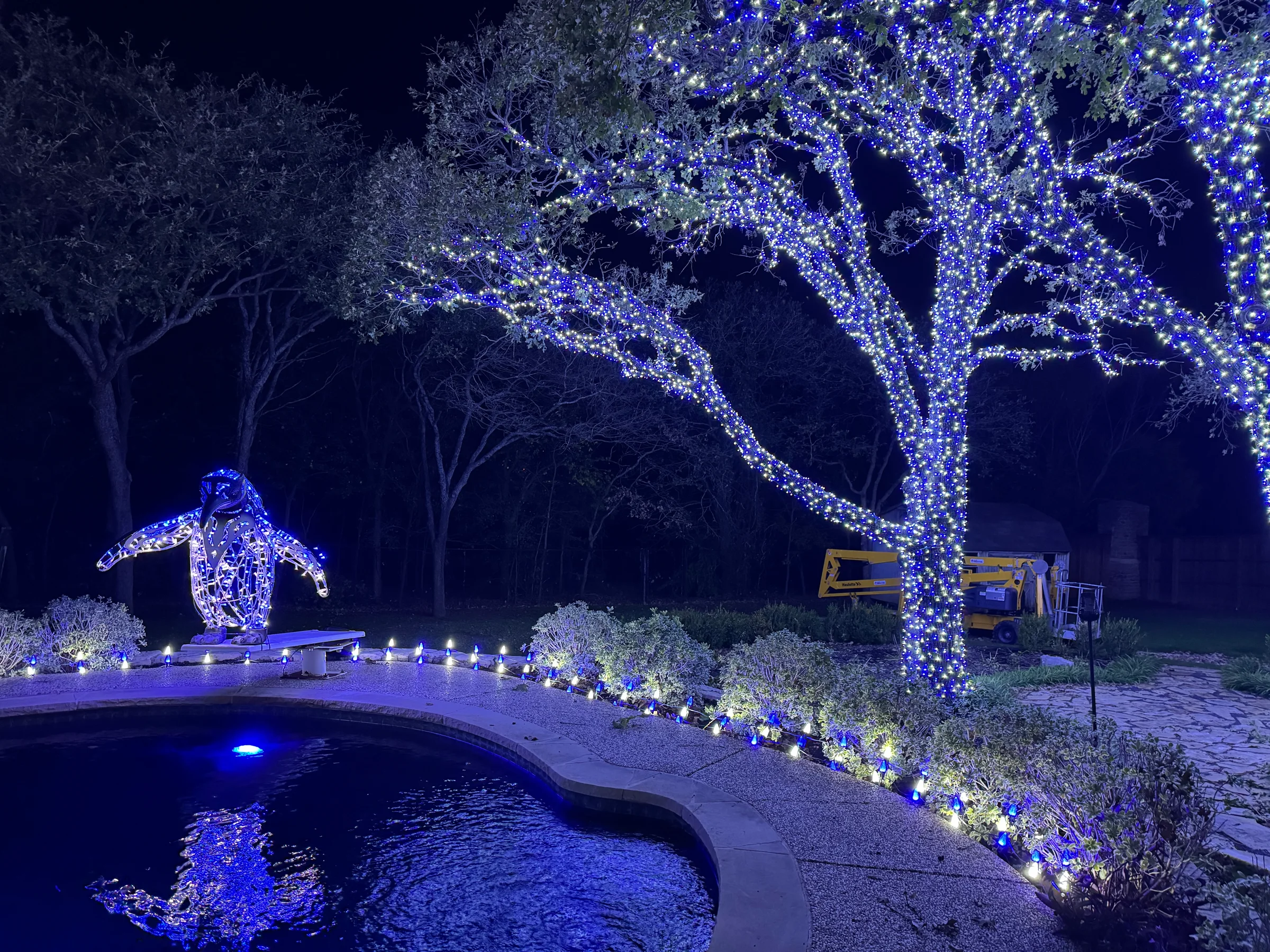 Large tree, pool edge, and penguin display illuminated in blue and white