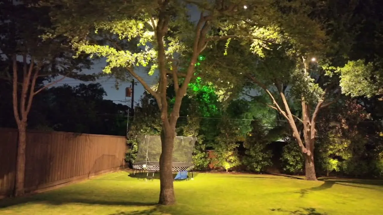 Backyard lawn and mature trees illuminated with warm white and green landscape lighting